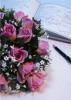 Wedding guestbook with signatures and a bouquet of pink roses